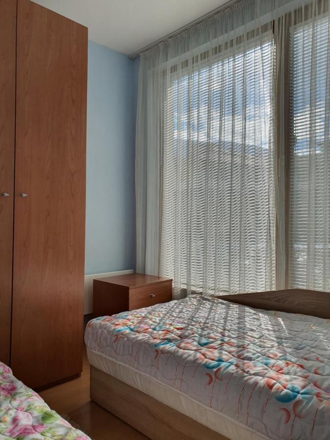 Koko'S Apartments 2 班斯科 外观 照片